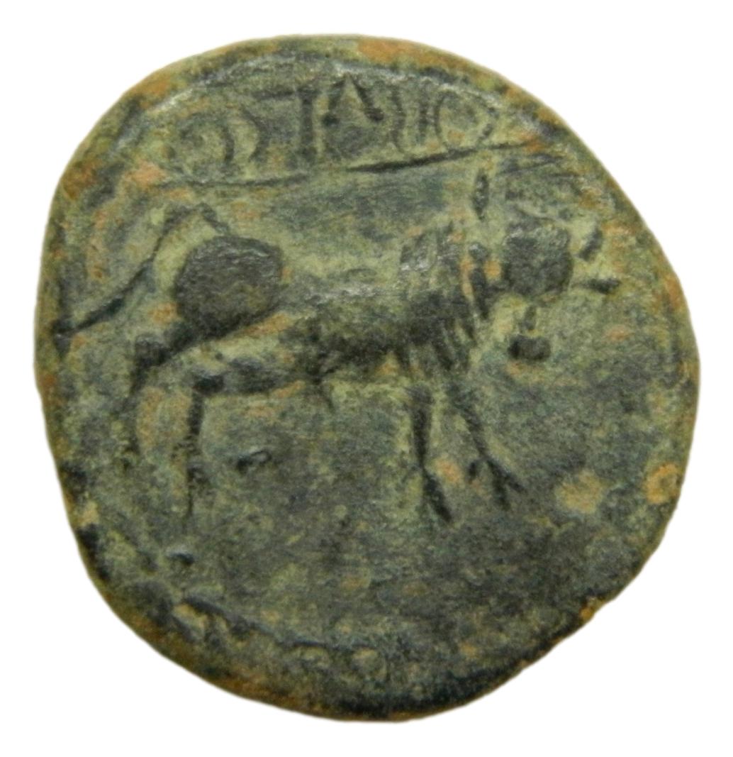OBULCO - SEMIS - SIGLO II aC - S9/53