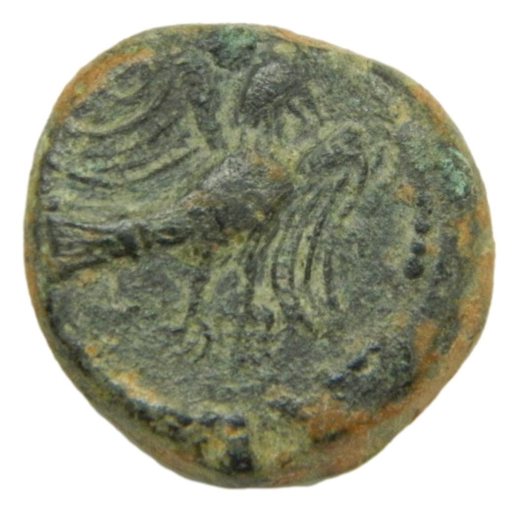 OBULCO - SEMIS - SIGLO II aC - S9/53