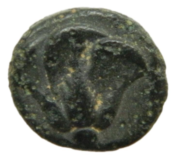 HEMIDRACMA - PONTOS - AMASEIA - 300-250 aC