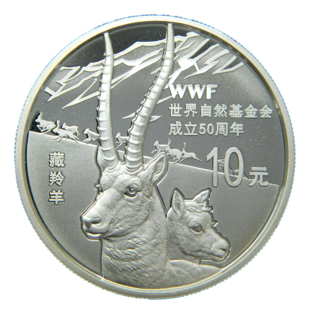 2011 - CHINA - 10 YUAN - 50 TH WWF - PLATA 