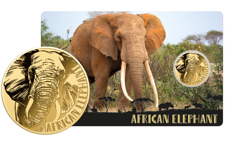 ELEFANTE - MONEDA DE ORO 999/1000 - 3000 FRANCS CFA - COINCARD