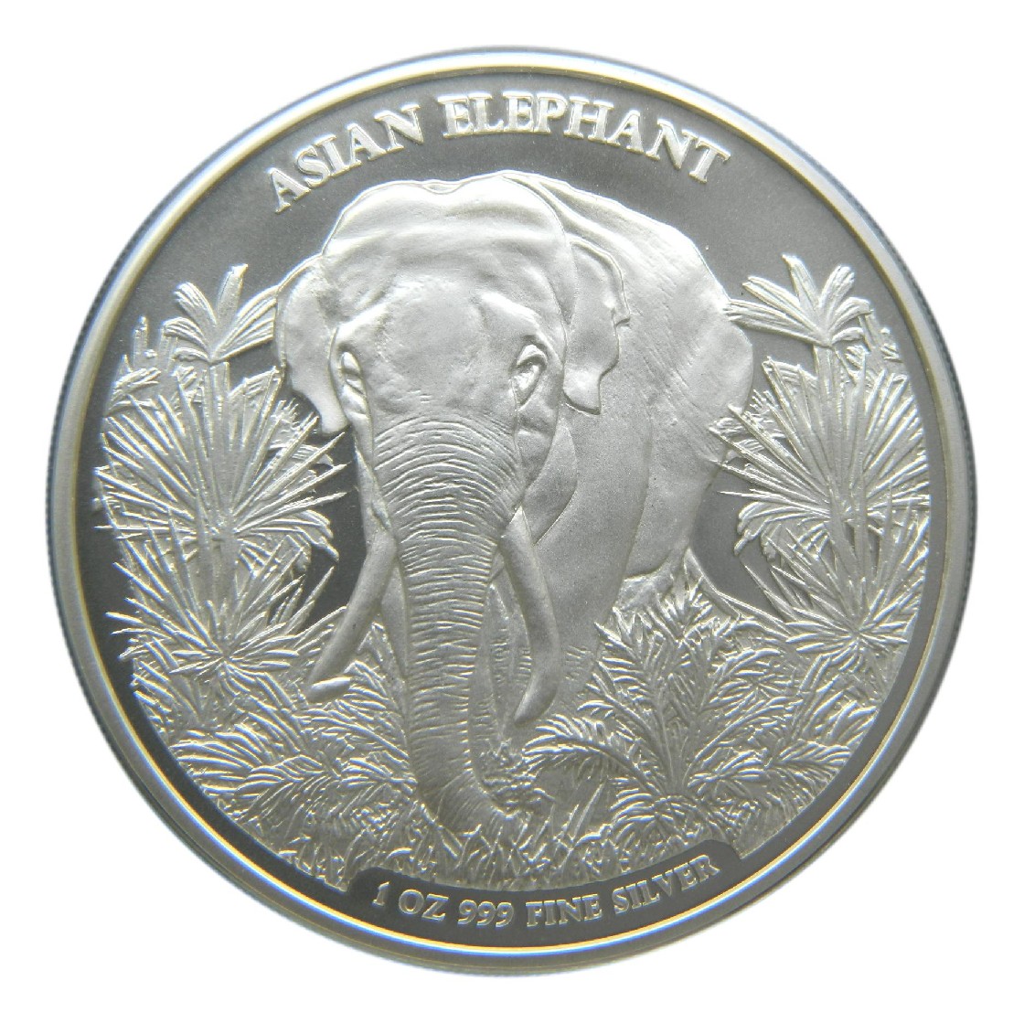 2023 - CAMBODIA - 3000 RIELS - ONZA PLATA - ELEFANTE ASIATICO