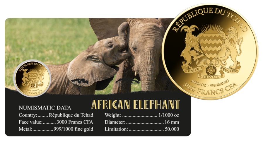 ELEFANTE - MONEDA DE ORO 999/1000 - 3000 FRANCS CFA - COINCARD