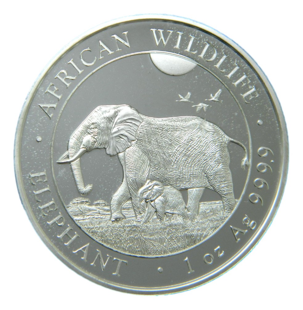 2022 - SOMALIA - 100 SHILLINGS - OZ PLATA -  ELEFANTE