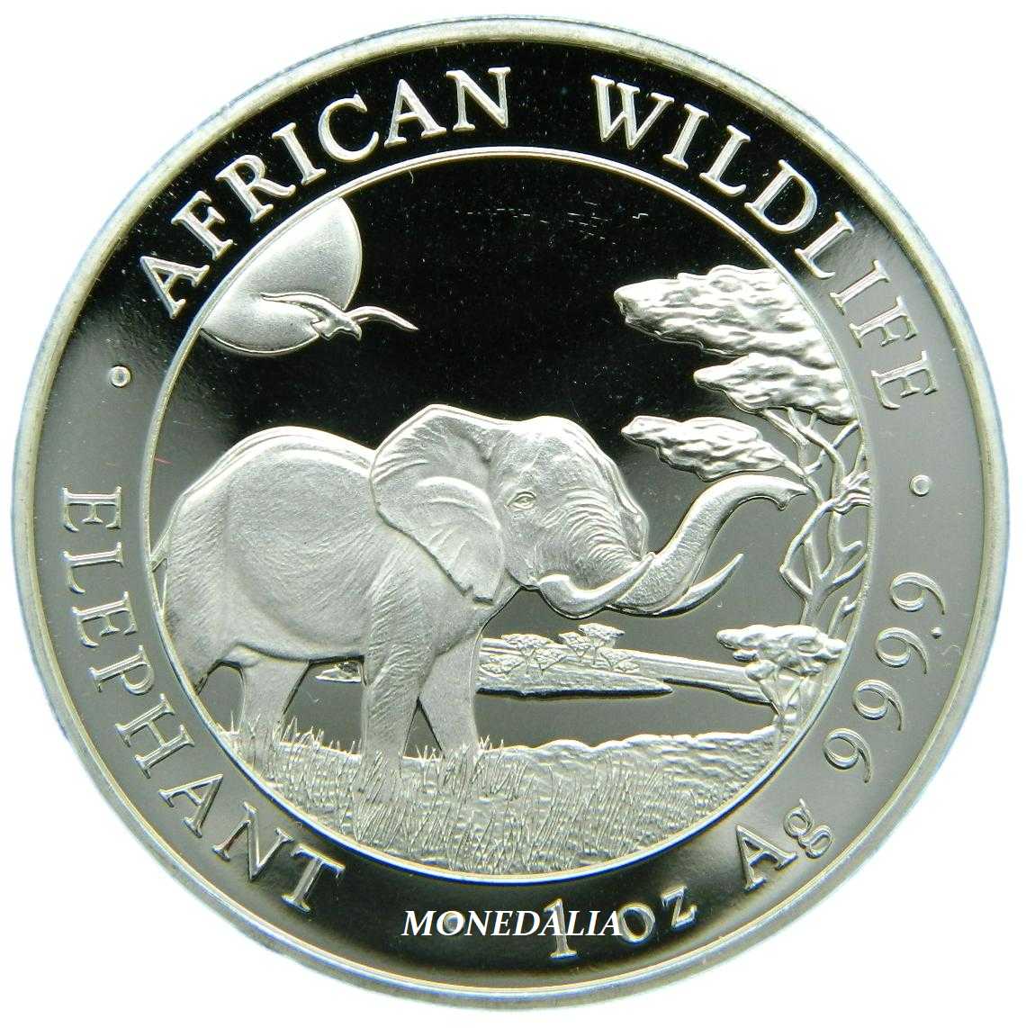 2019 - SOMALIA - 1 ONZA PLATA FINA - ELEFANTE