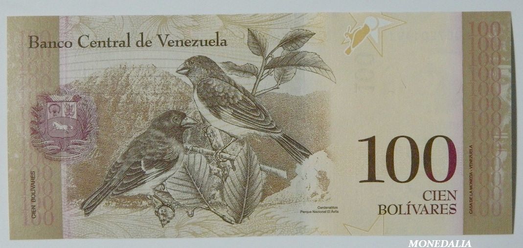 2015 - VENEZUELA - BILLETE - 100 BOLIVARES - PICK 93