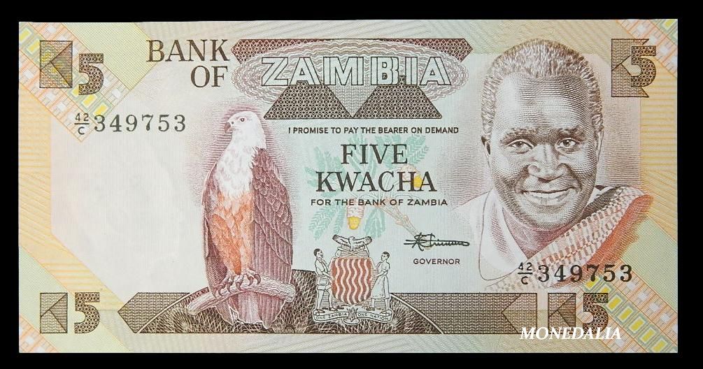ND 1980-88 - ZAMBIA - BILLETE - 5 KWACHA - PICK 24C