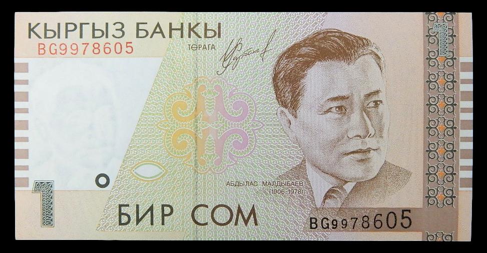 1999 - KIRGUISTAN - BILLETE - 1 SOM - PICK 15 - SC